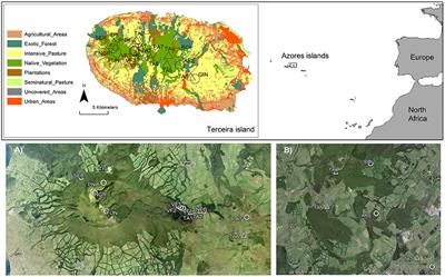 Biodiversity Patterns of Macroinvertebrate Assemblages in Natural and Artificial Lentic Waters on an Oceanic Island